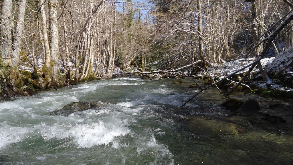 Gites Le Paradoxe Des Pyrenees Montferrier Ruang foto