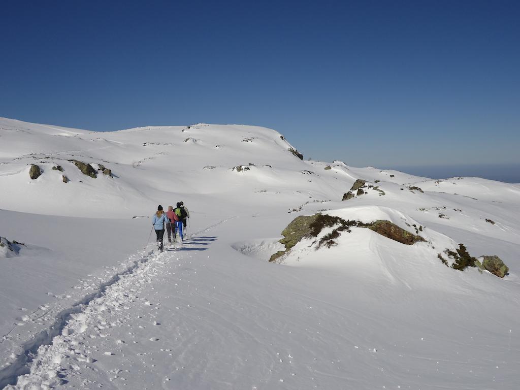 Gites Le Paradoxe Des Pyrenees Montferrier Ruang foto